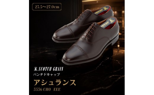
                  スコッチグレイン ビジネスシューズ メンズ アシュランス 3536CHO パンチドキャップトゥ 革靴 本革 日本製 EEE 送料無料 ギフト [№5619-1556]
                