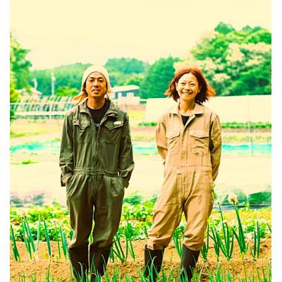 ふるさと納税 原村 季節の変り野菜セット(Mサイズ) |  | 02