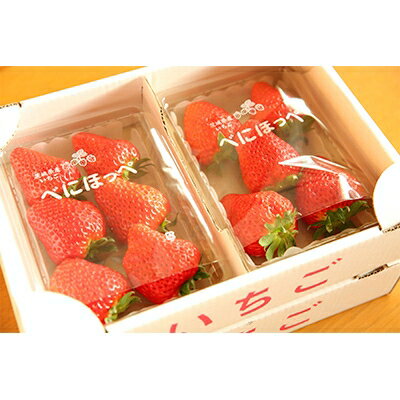 【ふるさと納税】『いちごやさん』の完熟紅ほっぺ厳選 特大サイズ2P×2箱【数量限定】【配送不可地域：離島】【1102515】