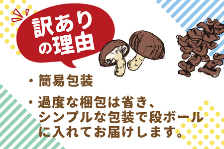 《先行予約》【11月下旬～4月下旬】訳あり しいたけ 計500g　政木農園 しいたけ シイタケ 椎茸 飛騨 不揃い サイズバラバラ 簡易包装 鍋 天ぷら バーベキュー[Q2877]
