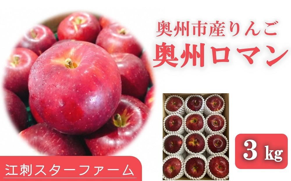 
                  りんご スターファーム こだわり栽培 奥州ロマン 約3kg 岩手県奥州市産 厳選品 産地直送 冷蔵 林檎 フルーツ 果物 期間限定 [AY003]
                