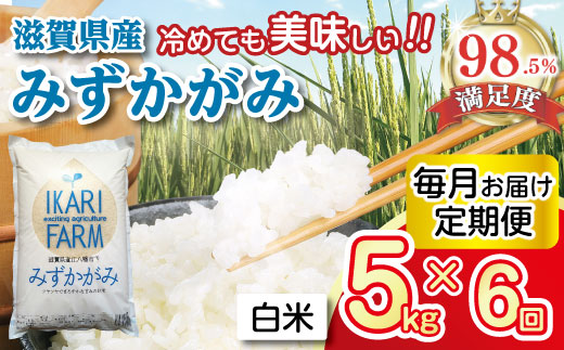 【新米】【7年産】みずかがみ　白米定期便　６か月で５kgを６回お届け（１か月に1回）【C036W】