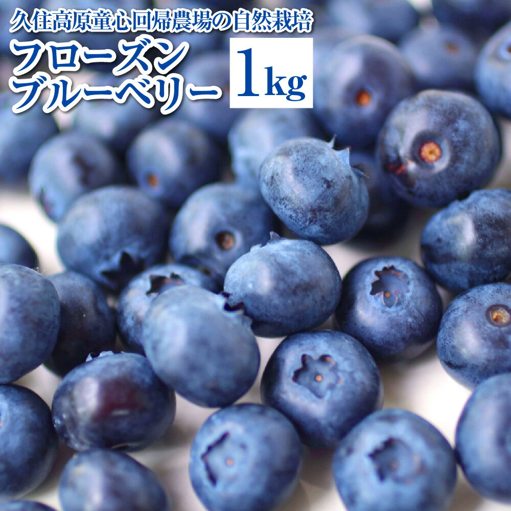 【ふるさと納税】久住高原童心回帰農場の自然栽培フローズンブルーベリー 九州産 国産 冷凍 1kg フルーツ ブルーベリー 果物 家庭用 送料無料 ＜2025年8月上旬より発送開始＞