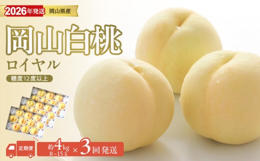 【2026年発送分 先行予約スタート！】【定期便】岡山県産 白桃 最高ランク！「ロイヤル」約4kg×3回発送【 白桃ロイヤル フルーツ 果物 くだもの もも 桃 モモ 岡山県産 】
