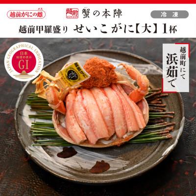 ふるさと納税 越前町 越前甲羅盛り【せいこがに 大】