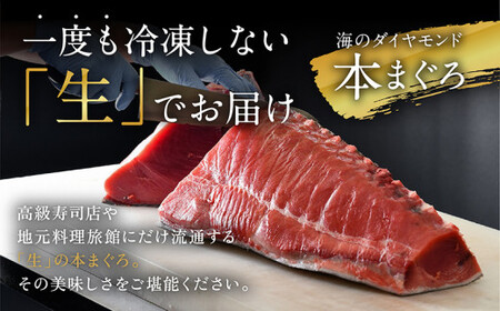 【定期便2回】冷蔵でお届け！満足！生本マグロ 大トロ（柵どり） 400g × 2回お届け （毎月お届け）