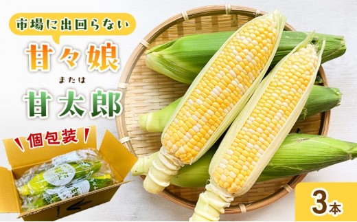 
                   【6月下旬頃より順次発送】とうもろこし 先行予約 甘々娘 または 甘太郎 3本 テルもろこし 個包装 レンジ調理 レンチン 野菜 夏 旬 冷蔵 冷蔵配送 静岡 浜松市【配送不可：離島】
                