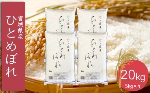 (06447)《精米》令和6年産 宮城県産ひとめぼれ5kg×4袋