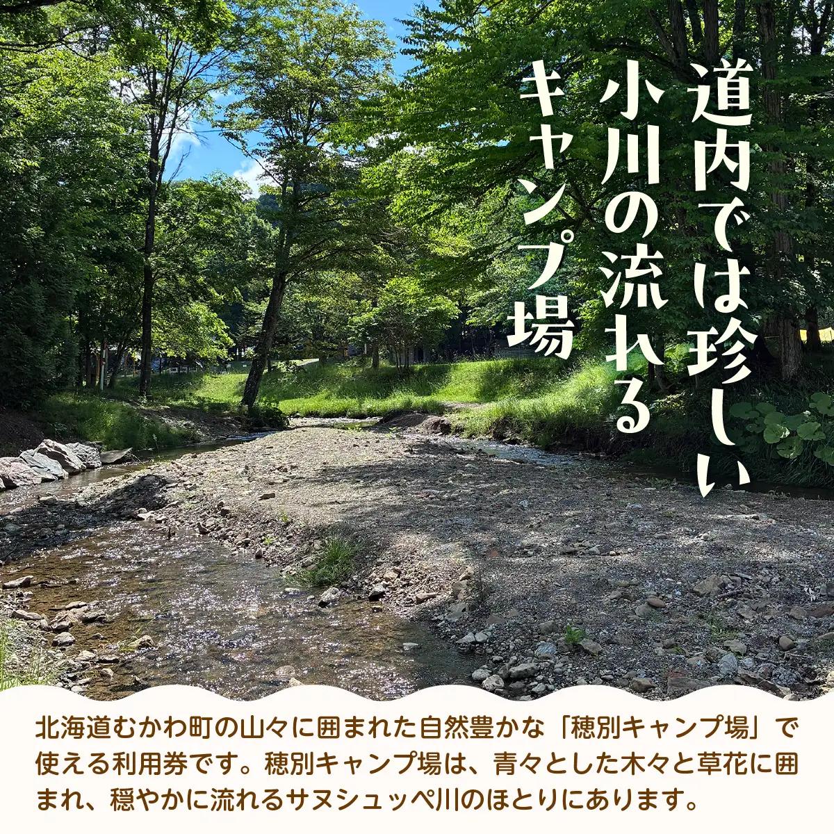 北海道 むかわ町 穂別キャンプ場 利用券 3,000円 MKWAO002