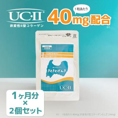 ふるさと納税 富山県 【富山・渡邊薬品】非変性II型コラーゲンサプリ「きときとげんき」2ケ月分　膝も腰もきときと元気に!