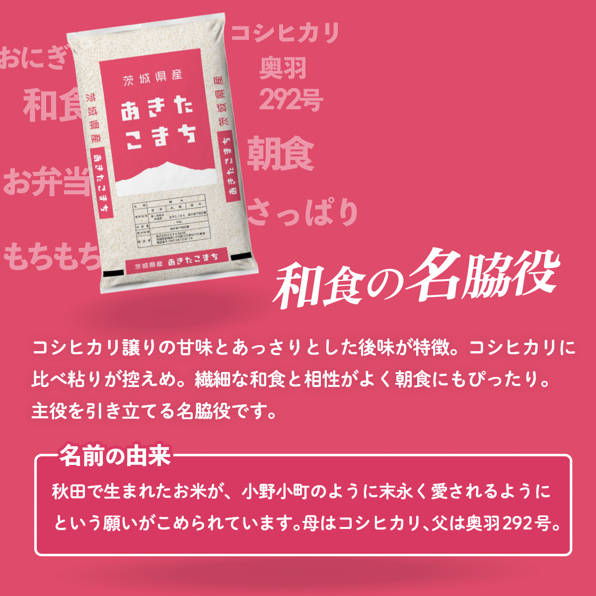 【スピード発送】あきたこまち 5kg (5kgx1袋) 令和7年産 茨城県産 こしひかり 白米 精米 茨城県 八千代町 お米 米 [SF567yai]