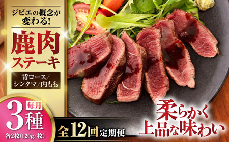 【全12回定期便】鹿肉 ステーキ3種セット（背ロース120g×2枚・シンタマ120g×2枚・内もも120g×2枚）《喜茂別町》【EBIJIN】 ジビエ モモ セット ステーキ 赤身 冷凍配送 定期便[AJAO025]