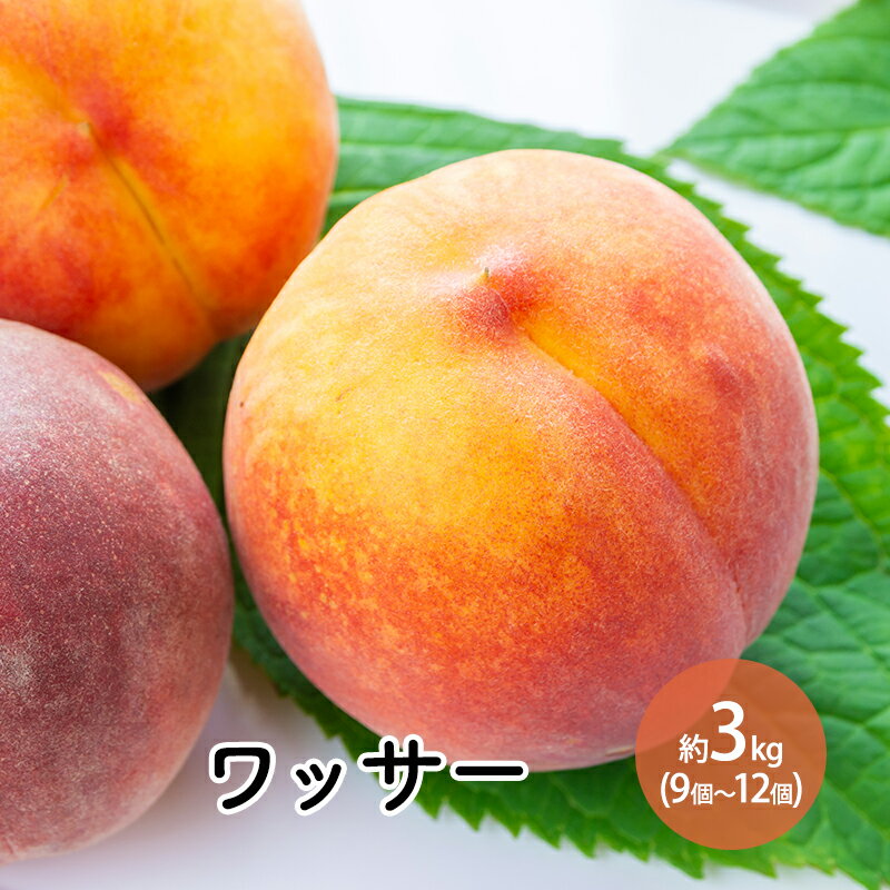 【ふるさと納税】2026年発送ワッサー約3kg（8個～13個） 　お届け：2026年8月上旬～8月中旬まで