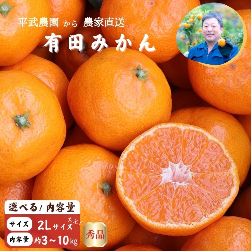 【ふるさと納税】【2026年先行予約】【平武農園より農家直送！】 有田みかん 2Lサイズ 秀品 大玉 選べる 内容量 約 3kg ～ 約 10kg ミカン 柑橘 フルーツ 温州みかん 濃い 甘さ 酸味 濃厚 農家直送 こだわり 和歌山 有田 田口みかん 田口地区 和歌山県 湯浅町 送料無料