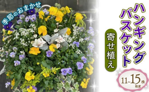 ハンギング バスケット 花苗 おまかせ 寄せ植え 季節 お花 ガーデニング 園芸 植物 生花 ギフト 贈り物 寄植え 2024年5月21日より順次発送 [4756345]