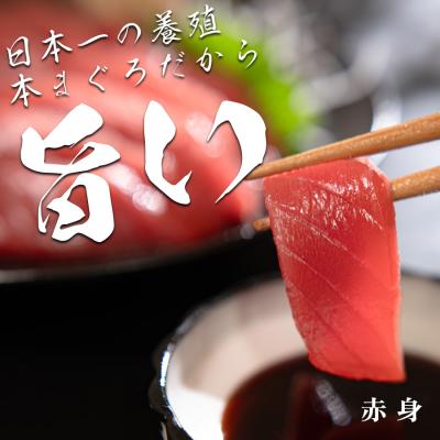 ふるさと納税 大月町 【高知県産 養殖本マグロ】赤身 450g 黒潮本まぐろ 刺身用 小分け柵 急速冷凍 最優秀賞受賞 |  | 01
