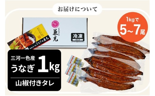 大満足1kg　愛知県三河一色産　うなぎ蒲焼き（5尾～7尾）・U040-30