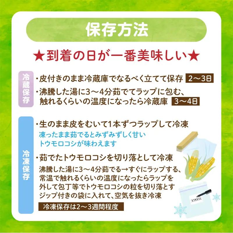 とうもろこし『ドルチェドリーム』（6本入／1箱）2セット・H124