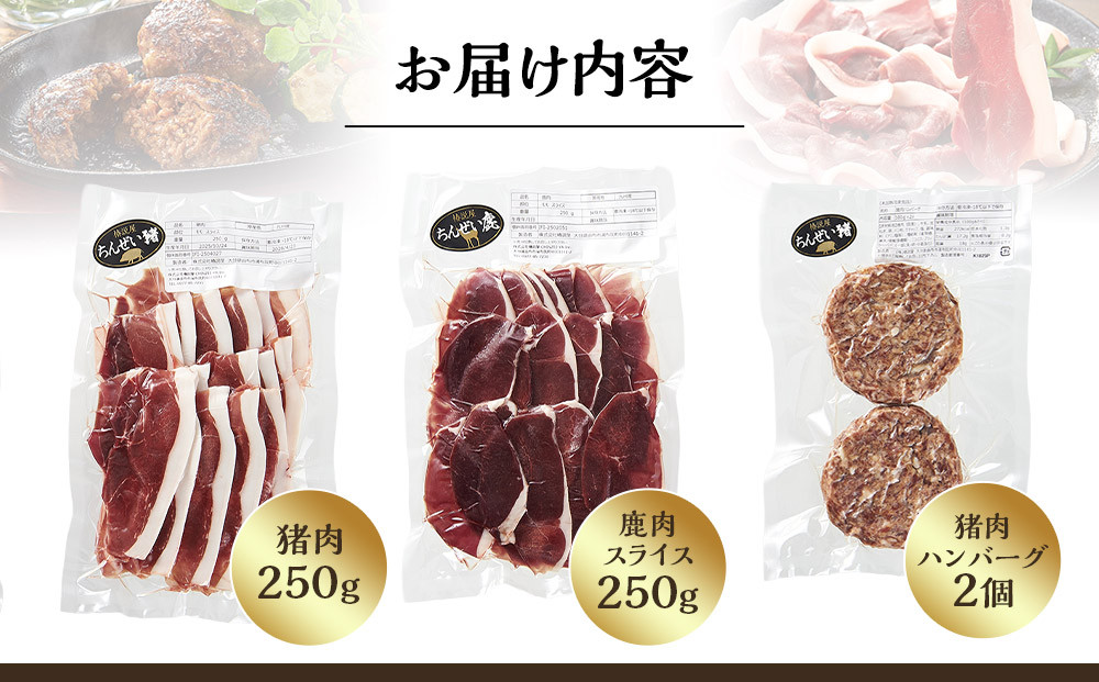 九州産ジビエ猪肉250g・鹿肉スライス250g＆猪肉ハンバーグ２個のセット