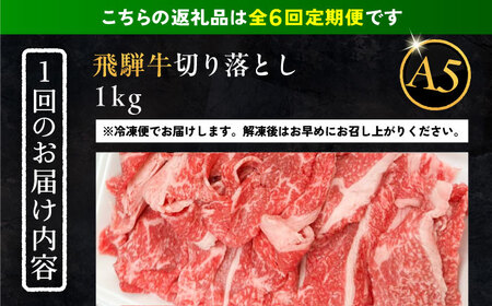 【6回定期便】 飛騨牛 切り落とし肉 A5ランク 1kg 和牛 国産 霜降り 恵那市 / 岩島屋[AUAJ034]