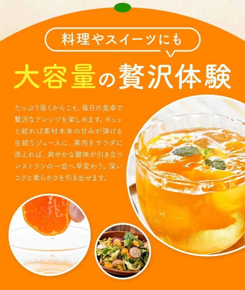 みかん5kg 高橋商店《10月下旬-1月中旬頃出荷》