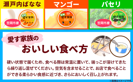 A-35 笠岡ジェラート 工房ハッピーのカップアイス 9個入り ハッピー＆甲和株式会社 ジェラート カップアイス アイス ミルク たたらシャインマスカット 清水白桃 いちご アスパラガス プチトマト 