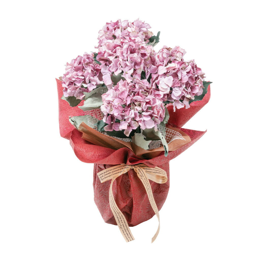 【ふるさと納税】アーティフィシャルフラワー 紫陽花 大輪 5本立ち パープル SC触媒加工済
