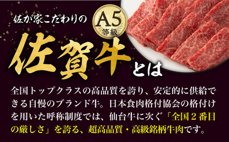 【12回定期便】A5等級 佐賀牛 焼肉用 モモ 600g（300g×2パック）/ナチュラルフーズ[UBH073]