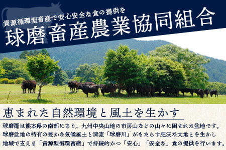 【G1認証】くまもと黒毛和牛 バラ肉 500g ブランド 牛 肉 バラ 熊本県産 熊本 肉 高級 牛肉 黒毛和牛 和牛 熊本 肉 多良木 100-0009