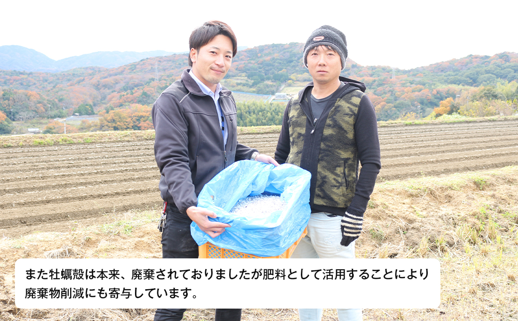 淡路島産玉ねぎオイスターラブ 10kg箱