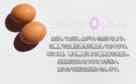 たかはしさんの新鮮たまご30個