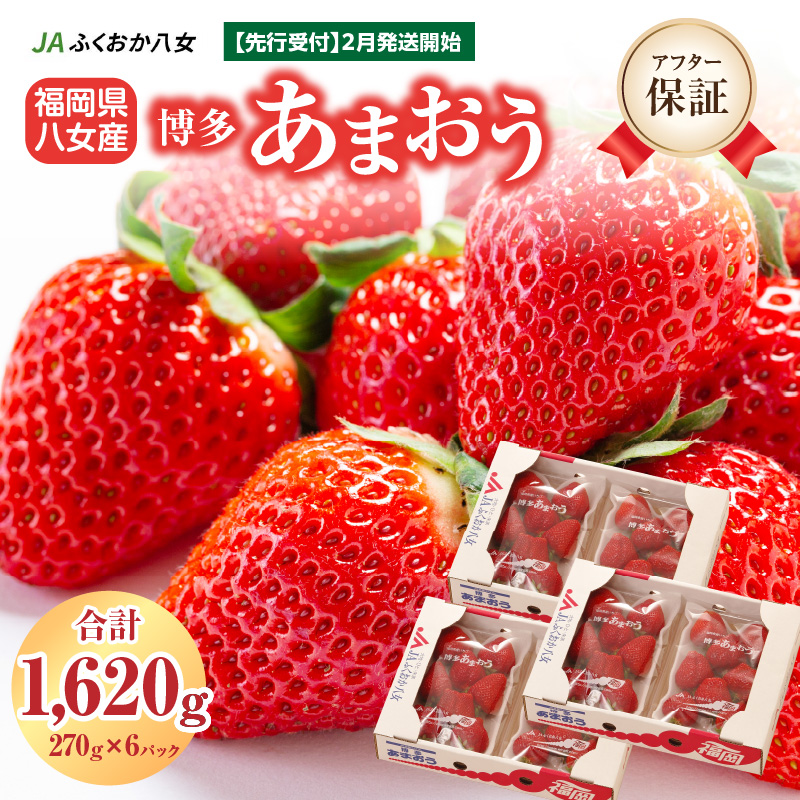 【先行受付：2026年2月発送開始】博多あまおうＧ270g×6パック｜ＪＡふくおか八女 あまおう いちご 苺 イチゴ フルーツ 果物 くだもの 人気  旬 福岡県産 大粒 アフター補償 数量限定 期間限定 産地直送 グランデ 福岡県 八女市