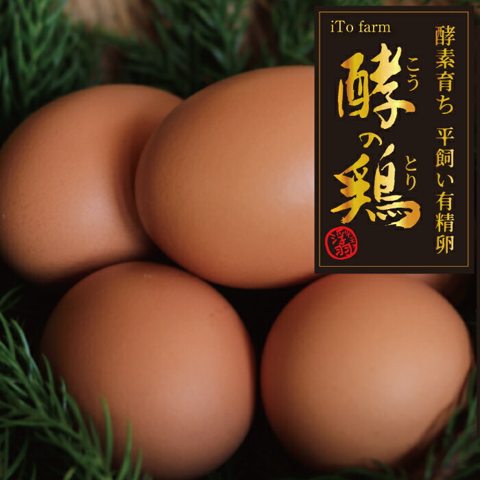 【ふるさと納税】 iTo farm 酵の鶏 40個 鶏の卵 たまご 卵 玉子 タマゴ 鶏卵 オムレツ 卵かけご飯 朝食 料理 人気 たまご焼き 送料無料 福岡県 うきは市