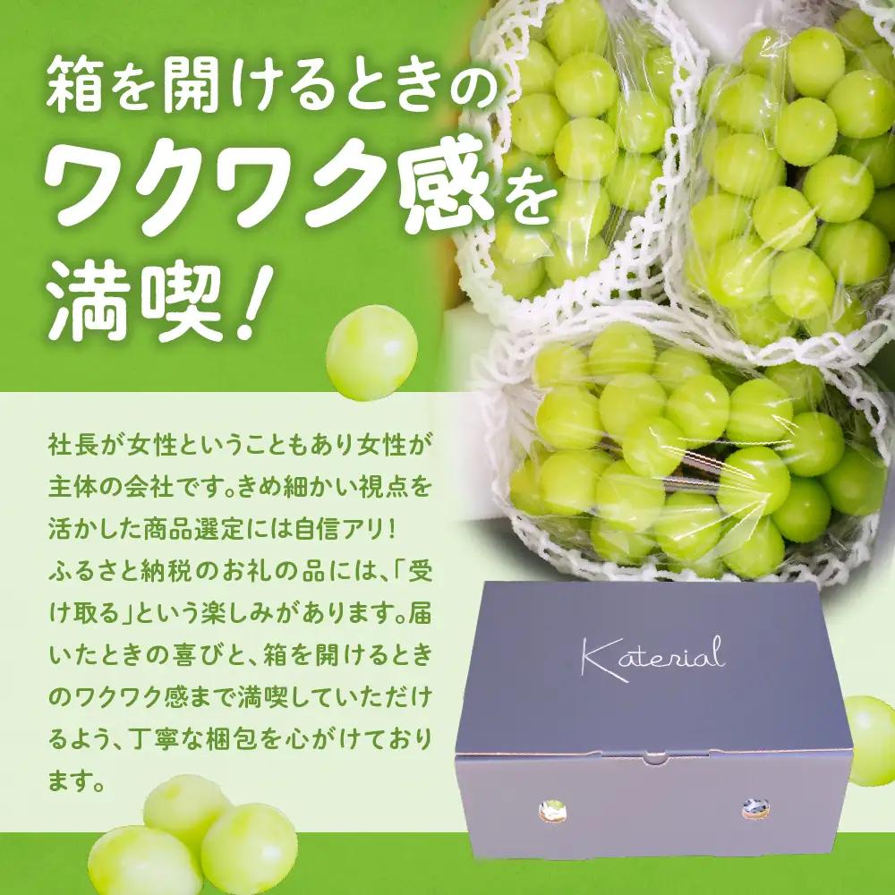 訳あり 約1.5㎏ SDGs シャインマスカット 山梨シャインマスカット