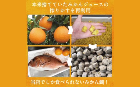 みかん鯛 270g~350g 半身 2節 宇和島プロジェクト 刺身 みかん 刺身 蜜柑 刺身 柑橘 刺身 真鯛 刺身 鯛 刺身 マダイ 刺身 タイ 刺身 刺身 お刺身 刺身 お刺し身 刺し身 冷凍 刺