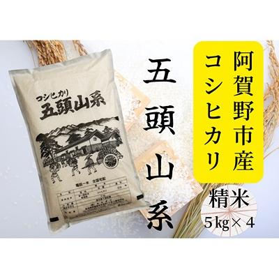 ふるさと納税 阿賀野市 【令和7年産】コシヒカリ　どーんと20kg!「米屋のこだわり阿賀野市産」