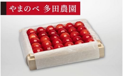 《2026年先行予約》【特選紅秀峰】桐箱詰 約300g【やまのべ多田耕太郎のさくらんぼ 多田農園】期間限定 数量限定 F4A-0031