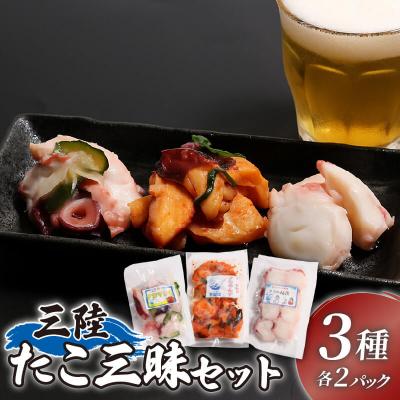 ふるさと納税 大船渡市 愉快なタコの仲間たち[キムチ/マリネ/粕漬け] 各2p