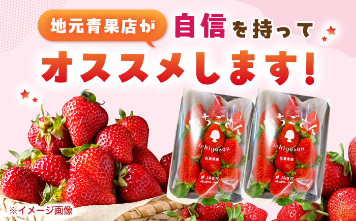 【佐賀のブランドいちご】いちごさん 約920g（約230g×4p）/中村青果店 [UDK009] イチゴ 苺 果物 フルーツ
