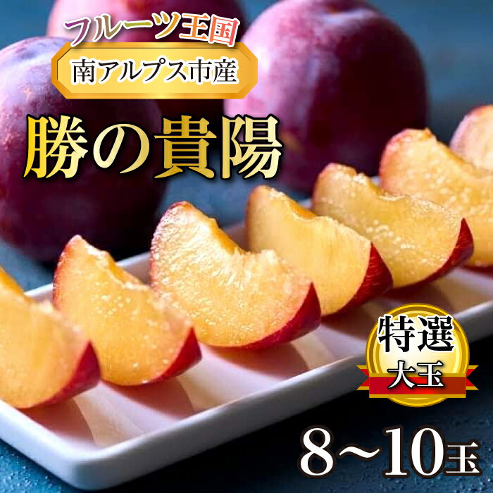 【ふるさと納税】 ＜2026年発送先行予約＞『勝の貴陽』特選大玉 8～10玉（7月中旬～発送予定）ふるさと納税 おすすめ 山梨県 南アルプス市 送料無料 ALPBB005