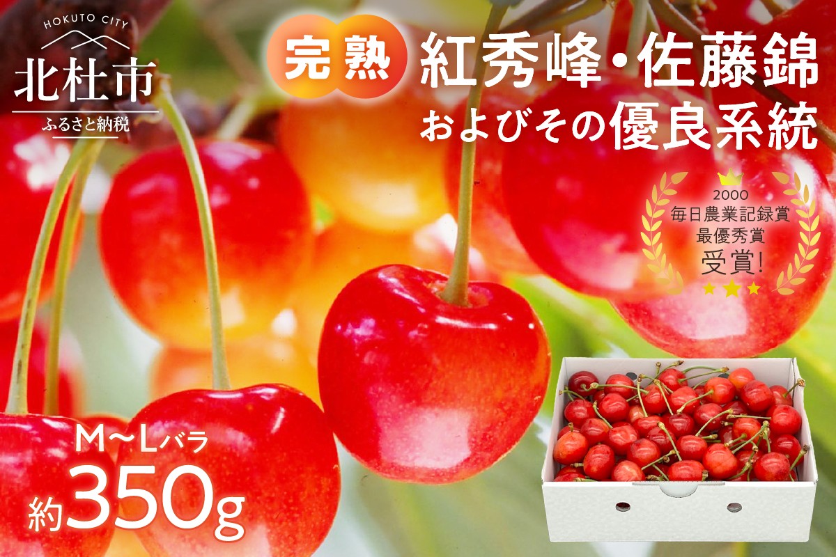 
                  【2026年発送】完熟さくらんぼ（M～Lバラ 約350g）　佐藤錦 紅秀峰 サクランボ チェリー 果物 産地直送 冷蔵 フルーツ 岩原果樹園
                