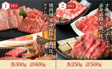 《定期便》 飛騨牛 4回 お届け 赤身 / 霜降り食べ比べ 牛肉 ( 焼肉 / すき焼き / ステーキ / しゃぶしゃぶ ) 肉 霜降り肉 赤身肉 セット 食べ比べ 和牛 国産牛 100000円 [S