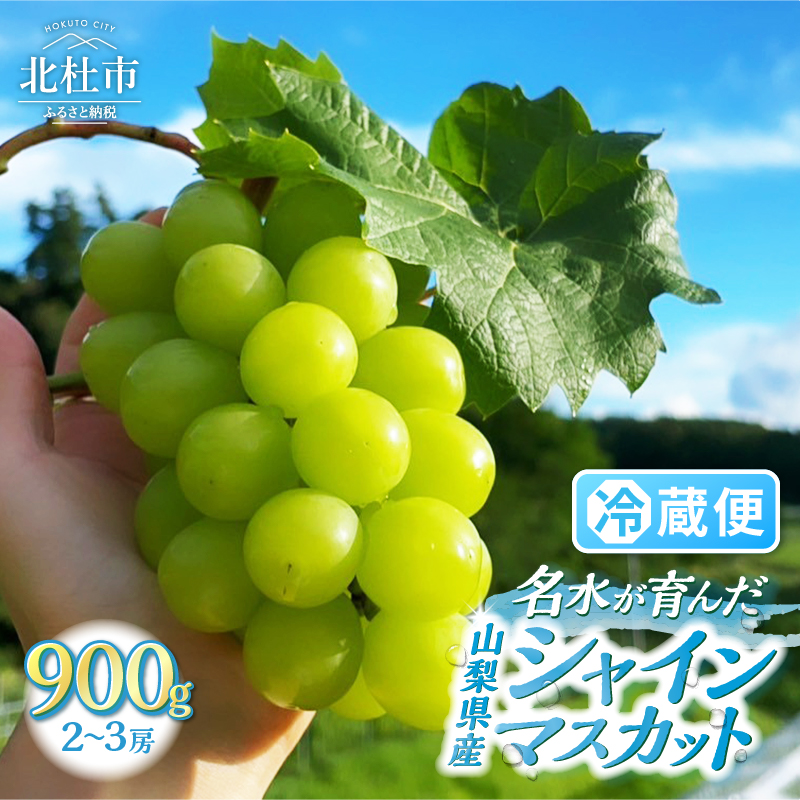 【2026年発送】【期間限定】八ヶ岳南麓の天然水で育てたシャインマスカット 900g（2～3房)