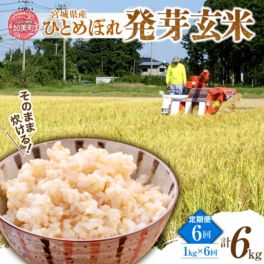 【ふるさと納税】定期便 6ヶ月 簡単に炊ける 宮城県産 ひとめぼれ 発芽玄米 計 6kg ( 1kg × 6回 ) 菅原商店 宮城県 加美町 sg-hb01-hg-t6 お米 米 玄米 げんまい