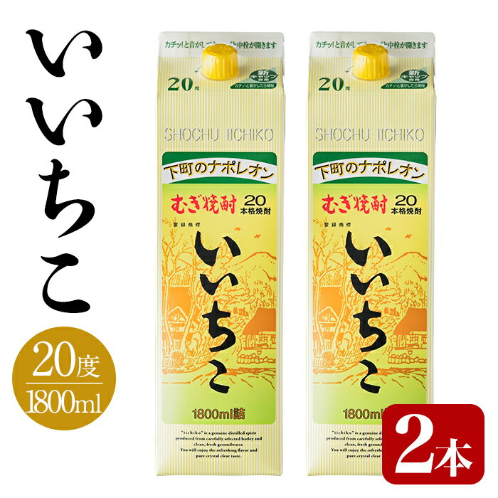 【ふるさと納税】いいちこ パック 20度(1800ml×2本)酒 お酒 焼酎 麦焼酎 アルコール 紙パック 三和酒類【114003101】【一般社団法人　地域商社USA】