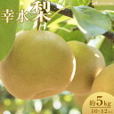 【ふるさと納税】【JAみやぎ仙南】梨「幸水」約5kg (10～12玉入) | フルーツ 果物 くだもの 食品 人気 おすすめ 送料無料