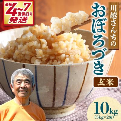 ふるさと納税 雨竜町 【最短4〜7営業日発送】令和7年産 川越さんちの おぼろづき 玄米 10kg (5kg×2袋)