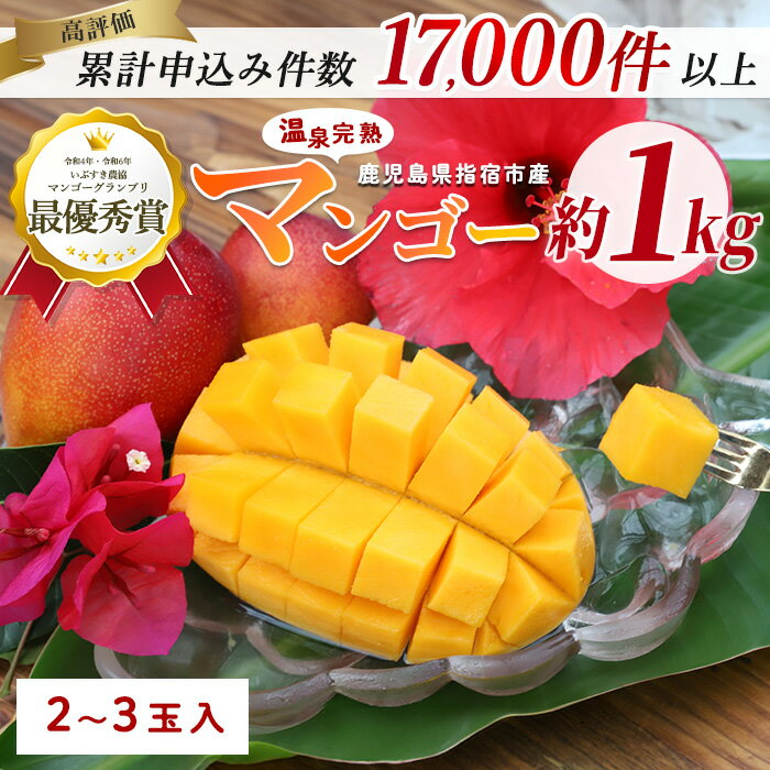 【ふるさと納税】＜訳あり・期間限定＞温泉完熟マンゴー(約1kg・2〜3玉) 果物 フルーツ 完熟 スムージー ジュース 夏 旬 南国 家庭用 自宅用 鹿児島 いぶすき【トロピカルフルーツ＆プランツ】