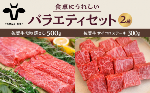 【牧場直送】佐賀牛 食卓にうれしいバラエティ セット（切り落とし 500g＆サイコロステーキ 赤身＆霜降り食べ比べ 300g）【有限会社佐賀セントラル牧場】 [IAH201]