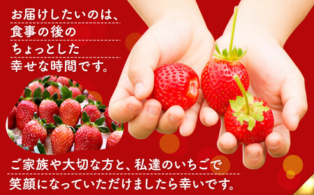 OneBerry いちご農園 品種おまかせ 旬のいちご 250ｇ× 4パック【2026年1月5日以降順次発送】 ｜ いちご イチゴ 苺 宮城県 限定 産地直送 産直 農家直送